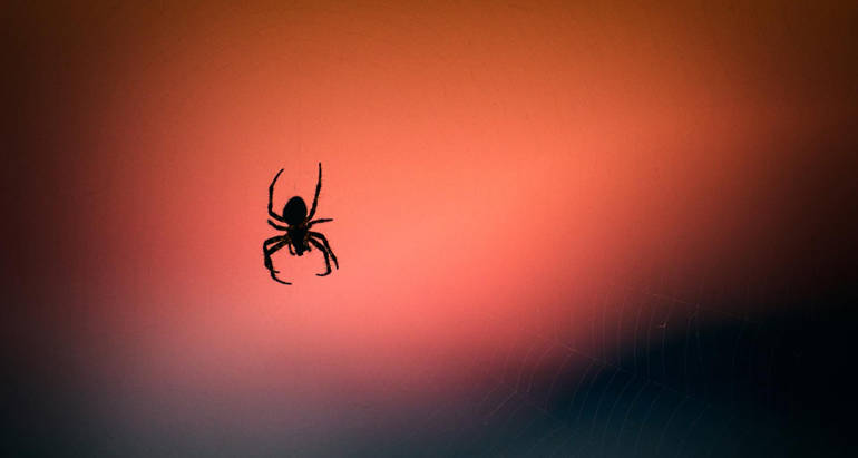 Spider Superstitions
