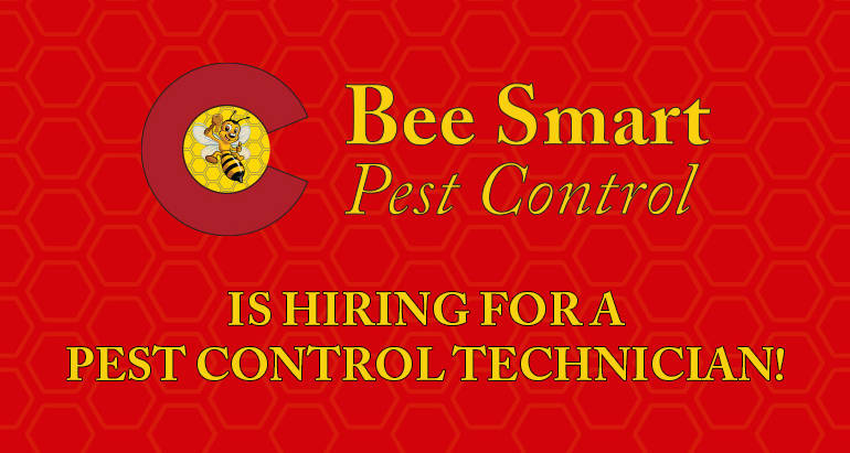 Hiring A Pest Control Technician